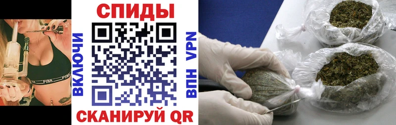 закладки  Пионерский  Бутират BDO 