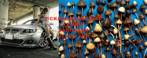 ПСИЛОЦИБИНОВЫЕ ГРИБЫ Баксан