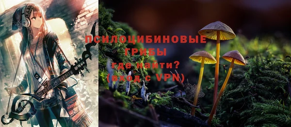 ешки Балахна