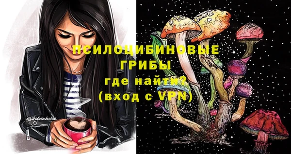 прущие грибы Покровск