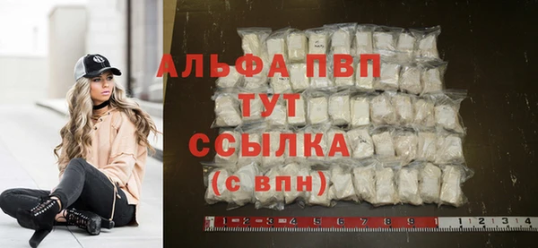 прущие грибы Покровск