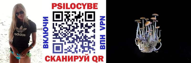 блэк спрут зеркало  Пионерский  Псилоцибиновые грибы Psilocybine cubensis 